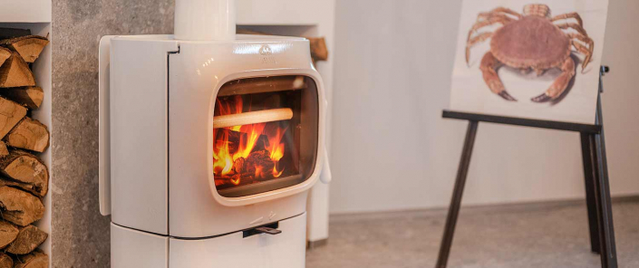 Appartement Ferienwohnung Lubmin Lobster Kamin