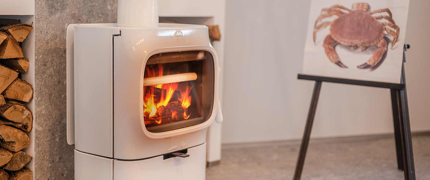 Appartement Ferienwohnung Lubmin Lobster Kamin